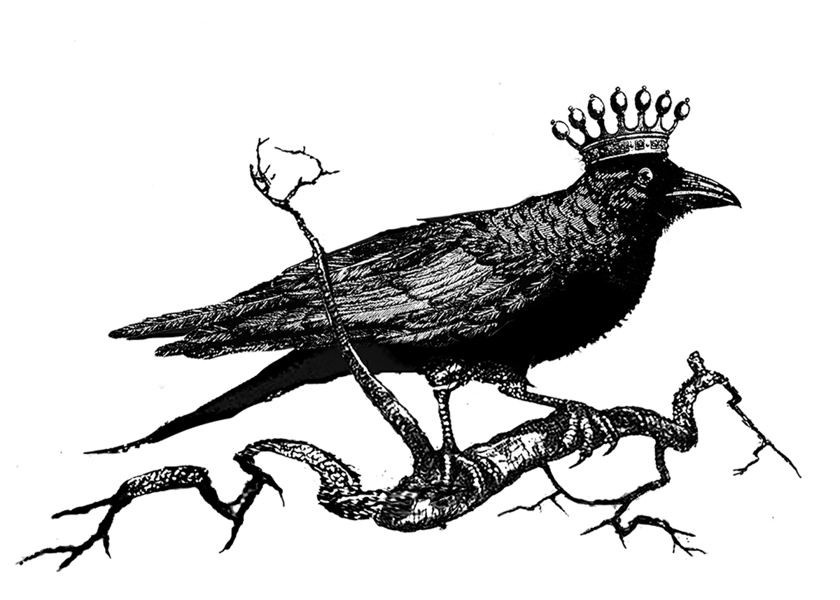 Home page – Raven's Rest Studio